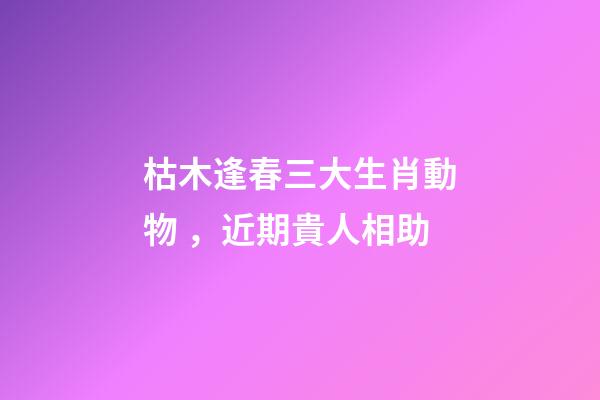 枯木逢春三大生肖動物，近期貴人相助